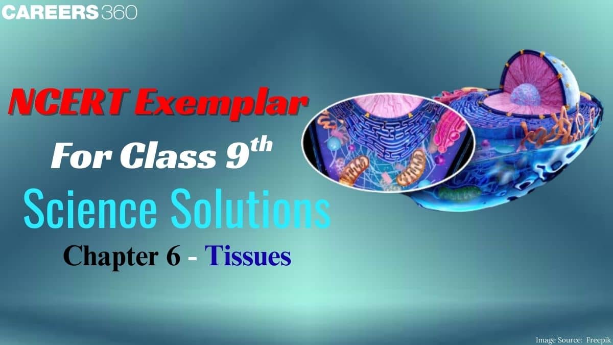 NCERT Exemplar Class 9 Science Solutions Chapter 6 Tissues
